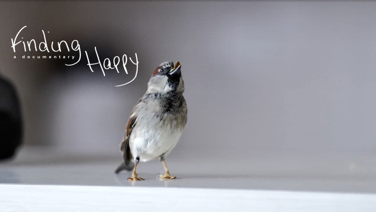 Backdrop – Finding Happy