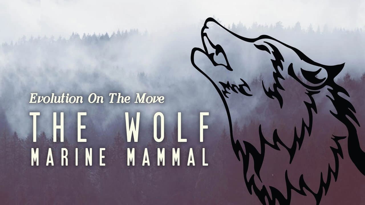 Backdrop – The Wolf: Marine Mammal