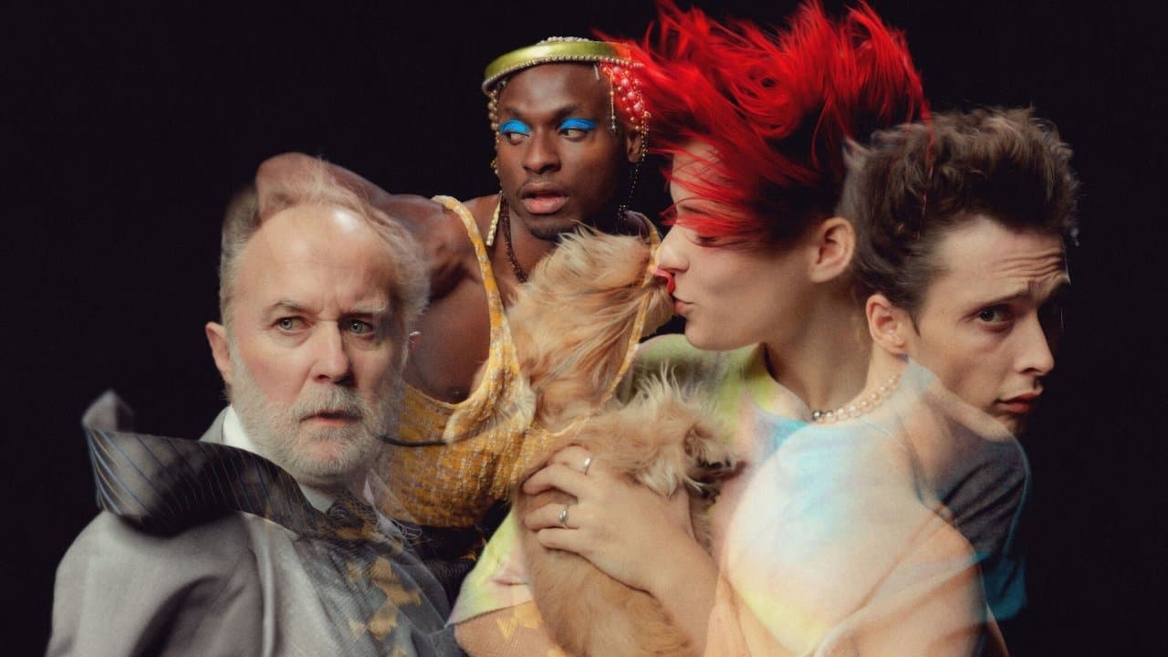 Backdrop – Rainbow