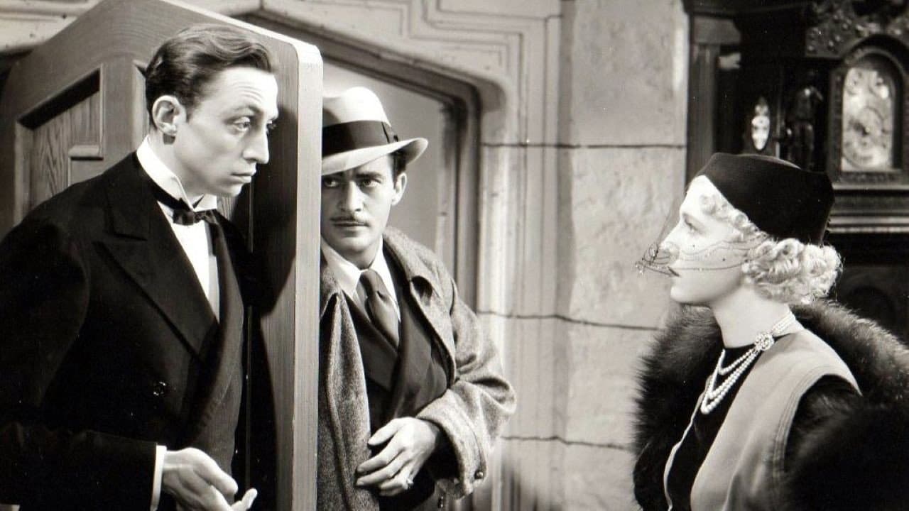 Backdrop – Mystery Woman
