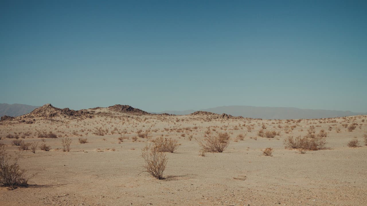 Backdrop – Blue Boy
