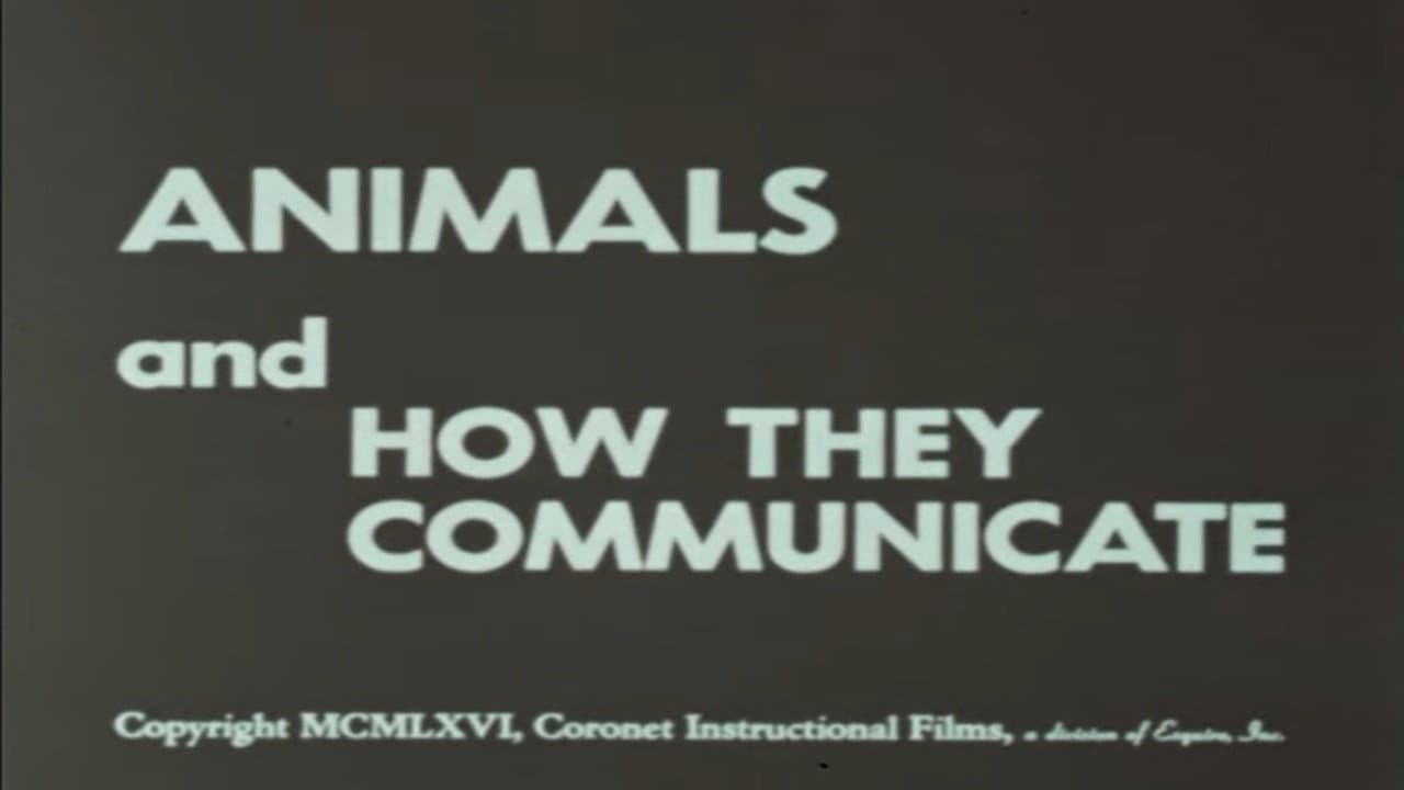 Backdrop – Animals and How They Communicate