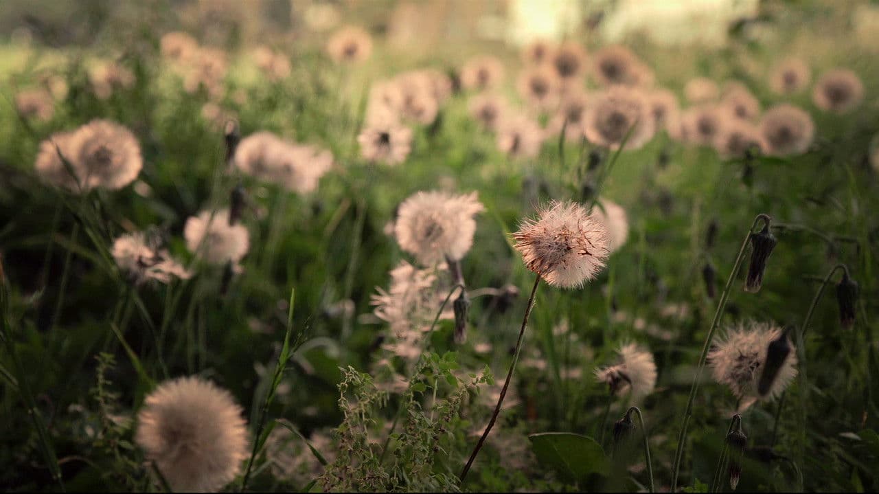 Backdrop – Son las 12