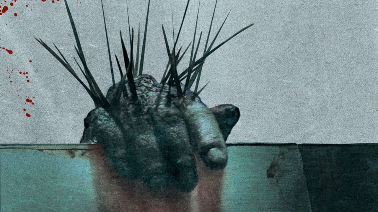 Backdrop – Splinter