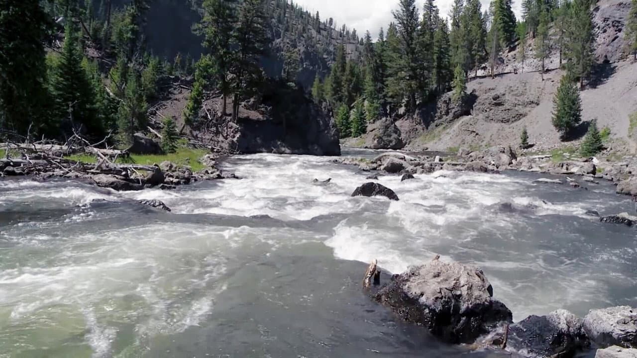 Backdrop – Die Natur kehrt zurück