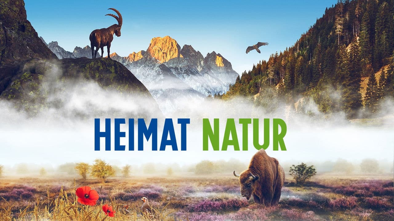 Backdrop – Heimat Natur