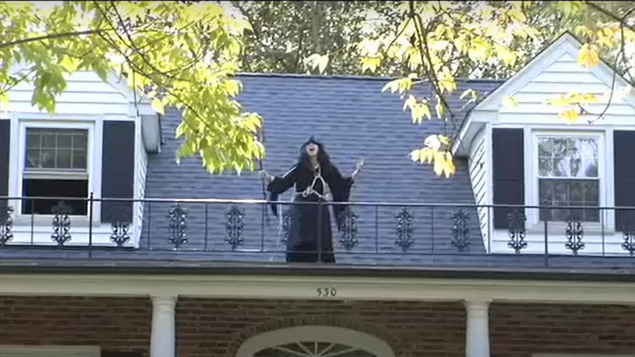 Backdrop – Teen Hag - Trailer