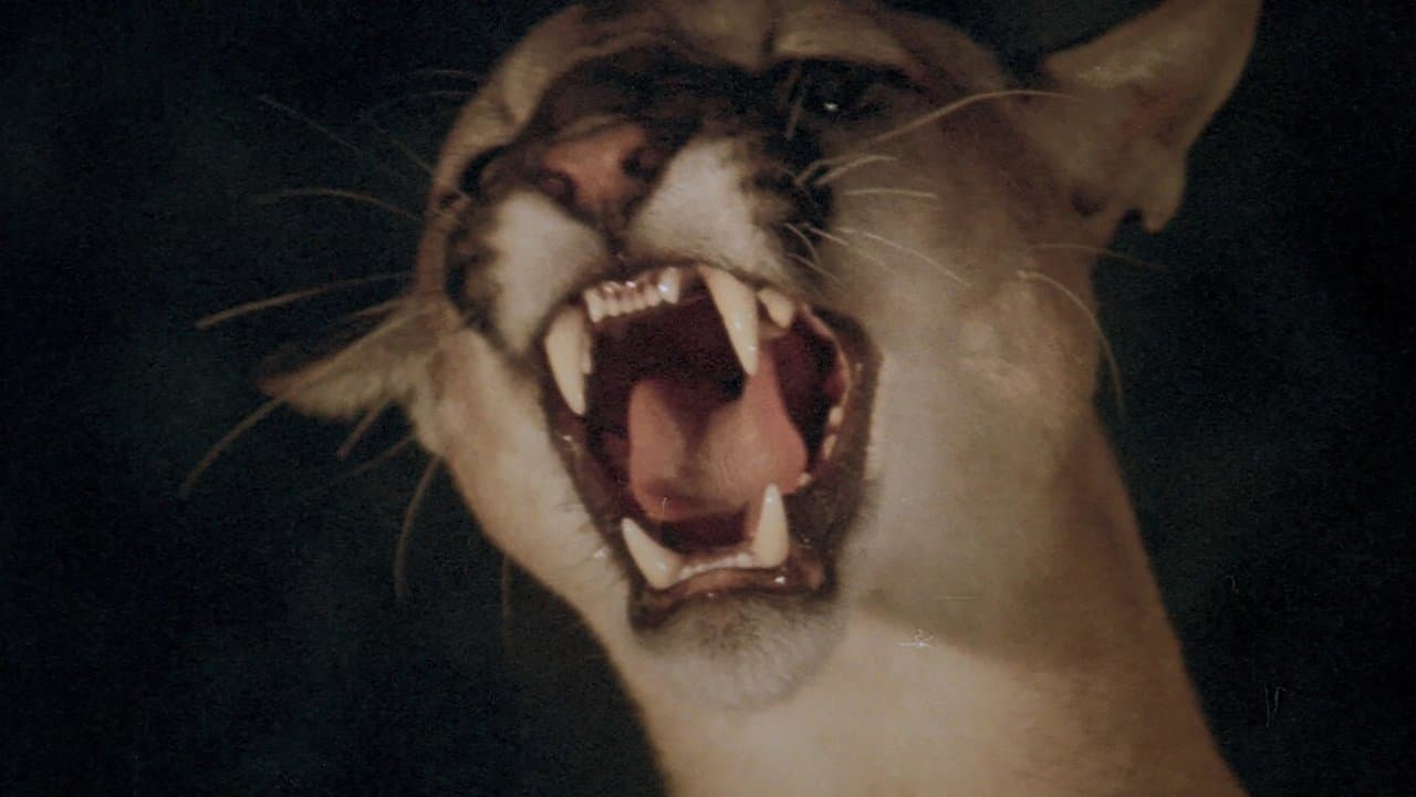 Backdrop – Panik in der Sierra Nova