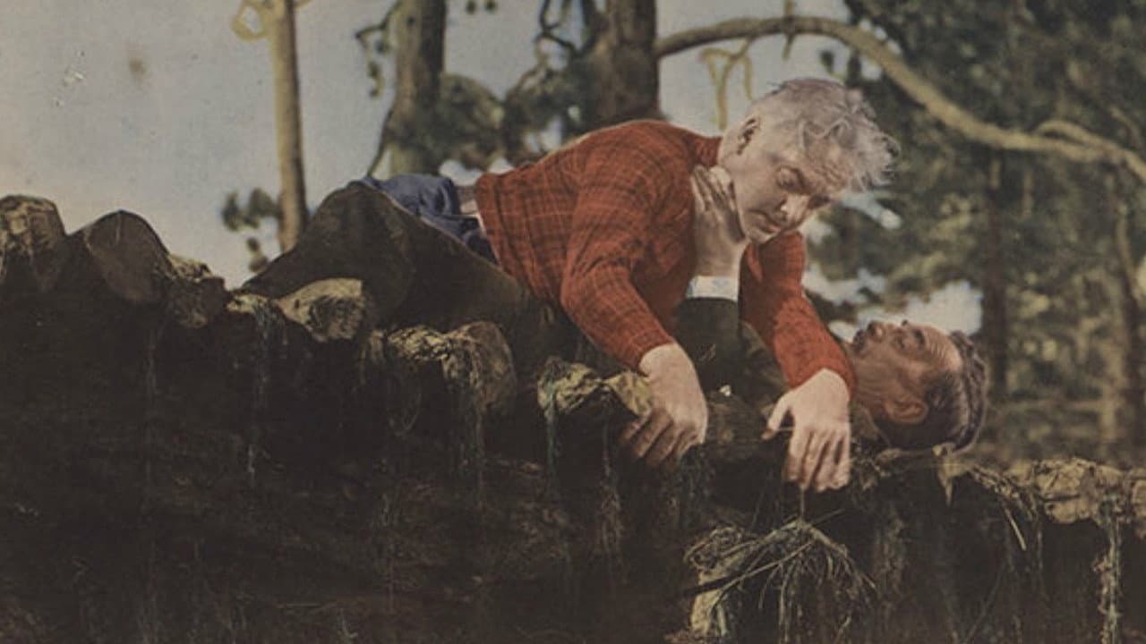 Backdrop – Lumberjack