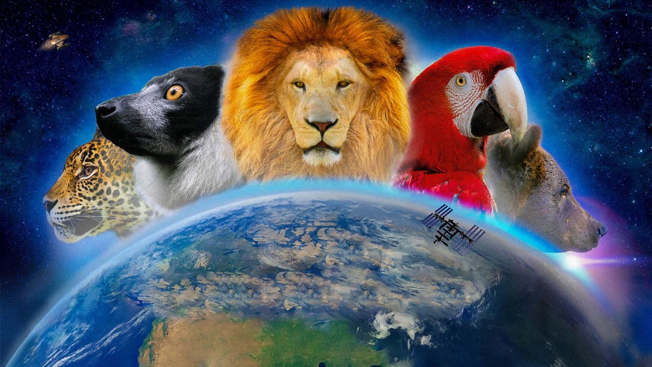 Backdrop – Wundervolle Welt 3D