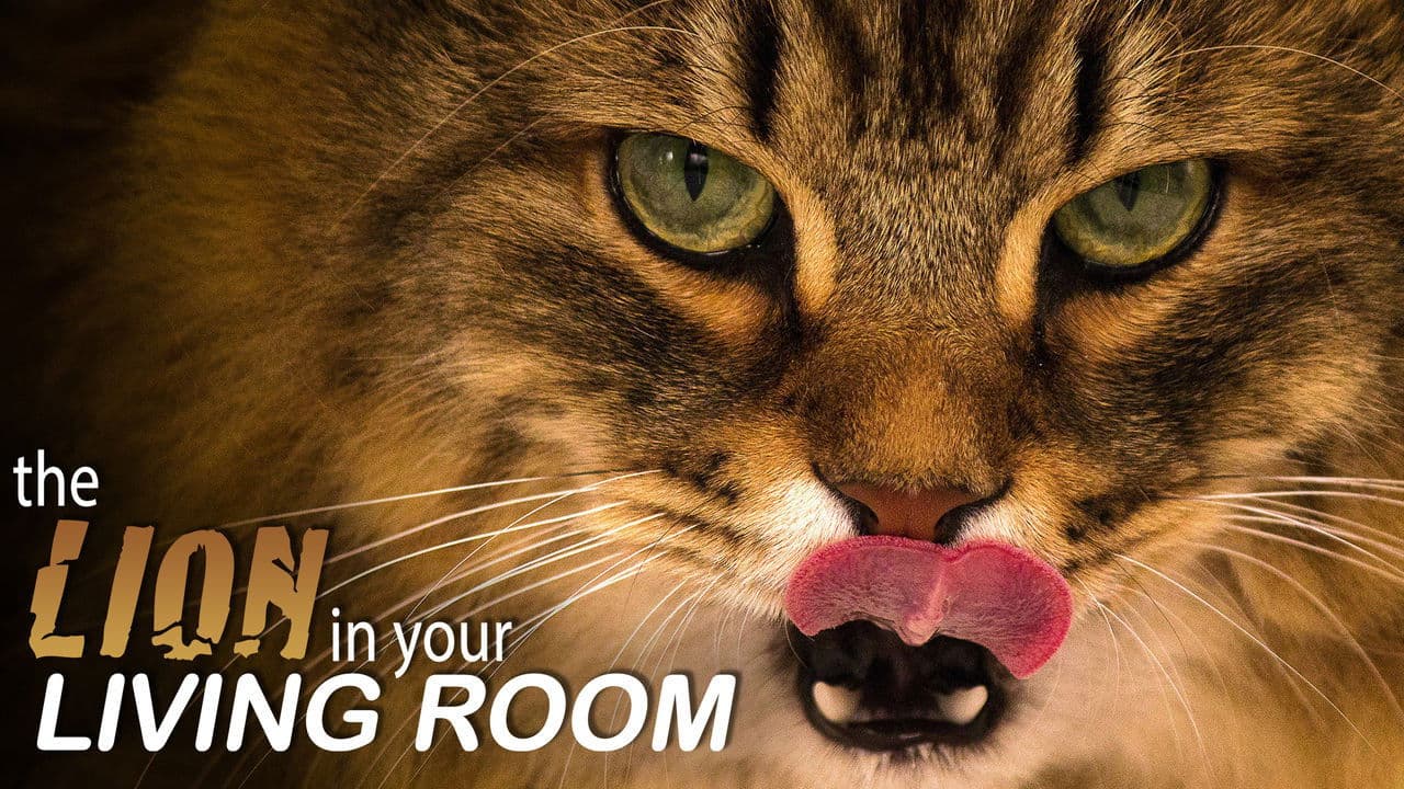 Backdrop – The Lion In Your Living Room