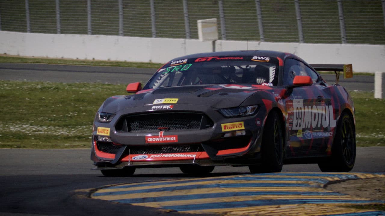 Backdrop – Race/America