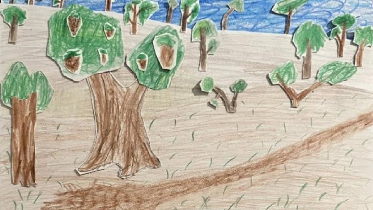 Backdrop – Deforestation