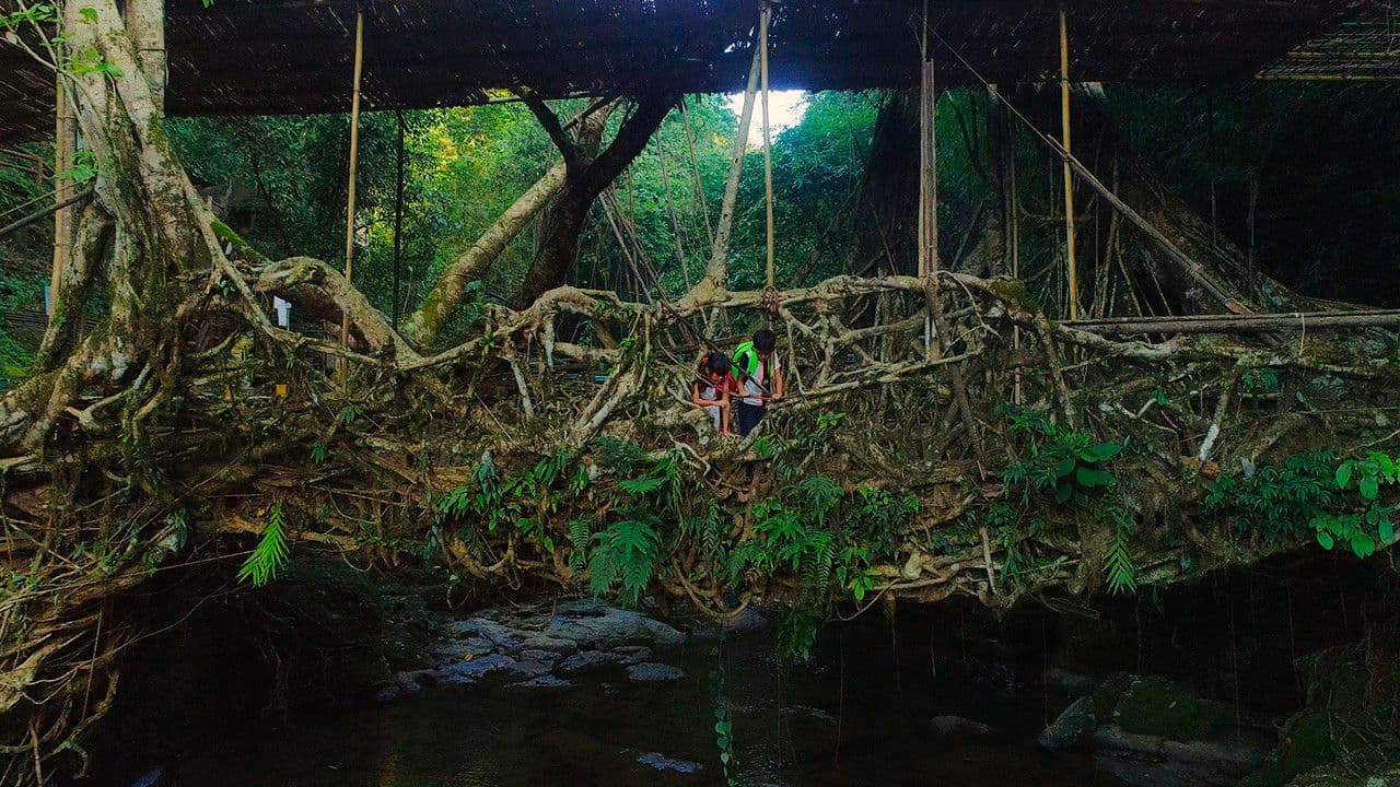 Backdrop – For Tomorrow - the Documentary