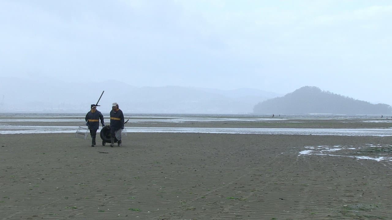 Backdrop – Devalar (C)