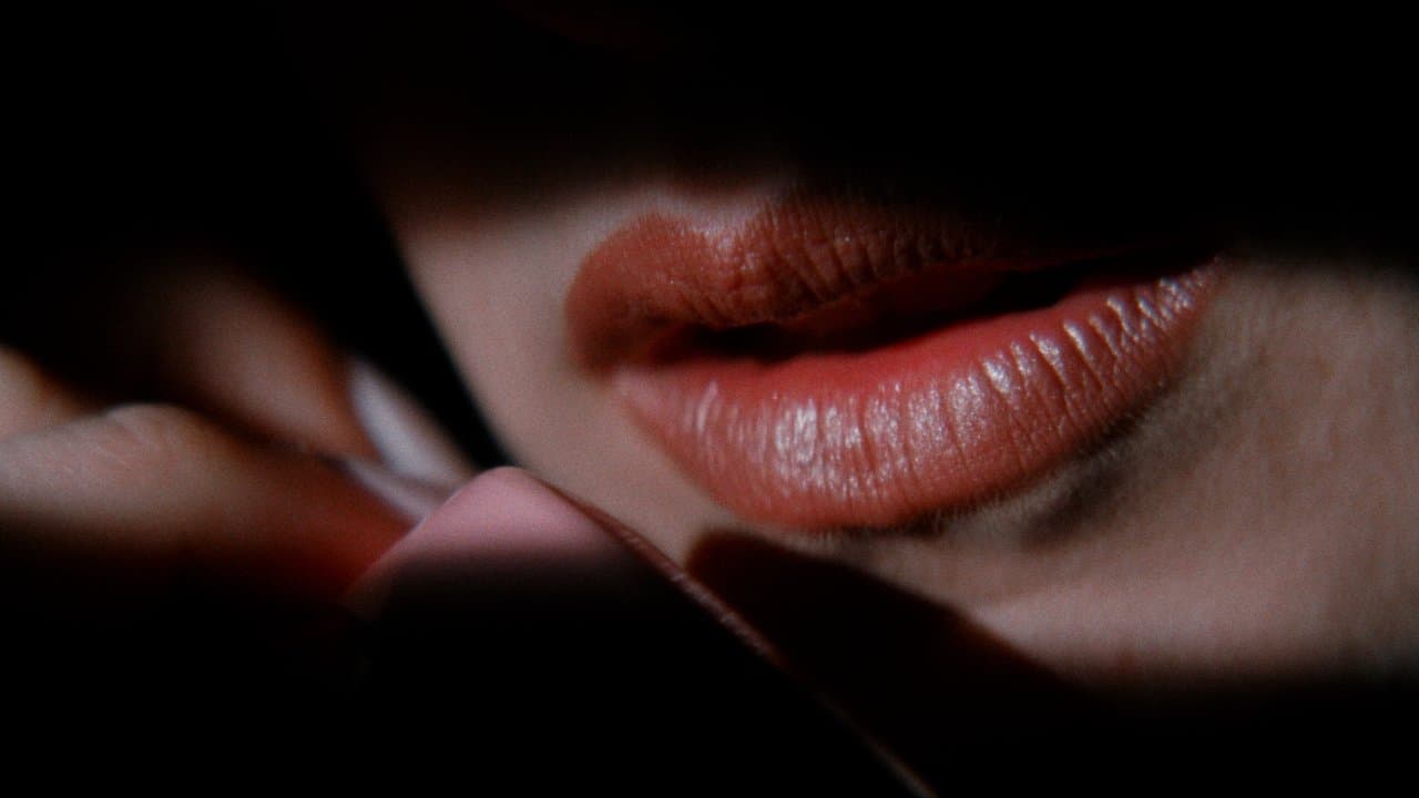 Backdrop – Lost Highway