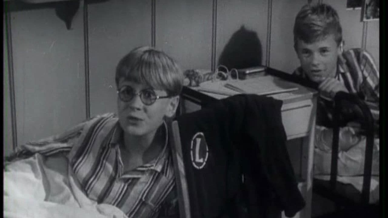 Backdrop – Stompa, selvfølgelig!