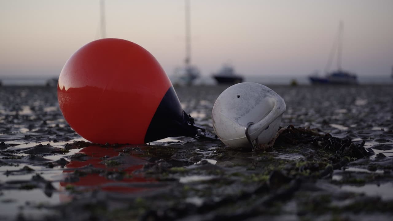 Backdrop – She Fishes