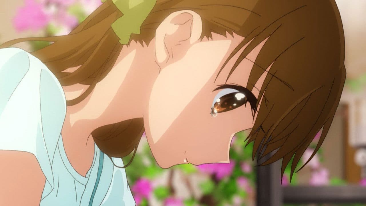 Backdrop – Tamayura - Graduation Photo Part 2 Hibiki