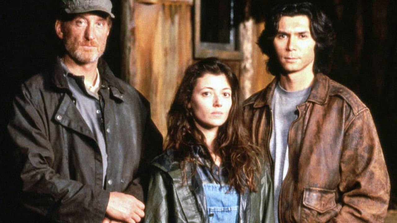 Backdrop – Im Auge des Hurricane