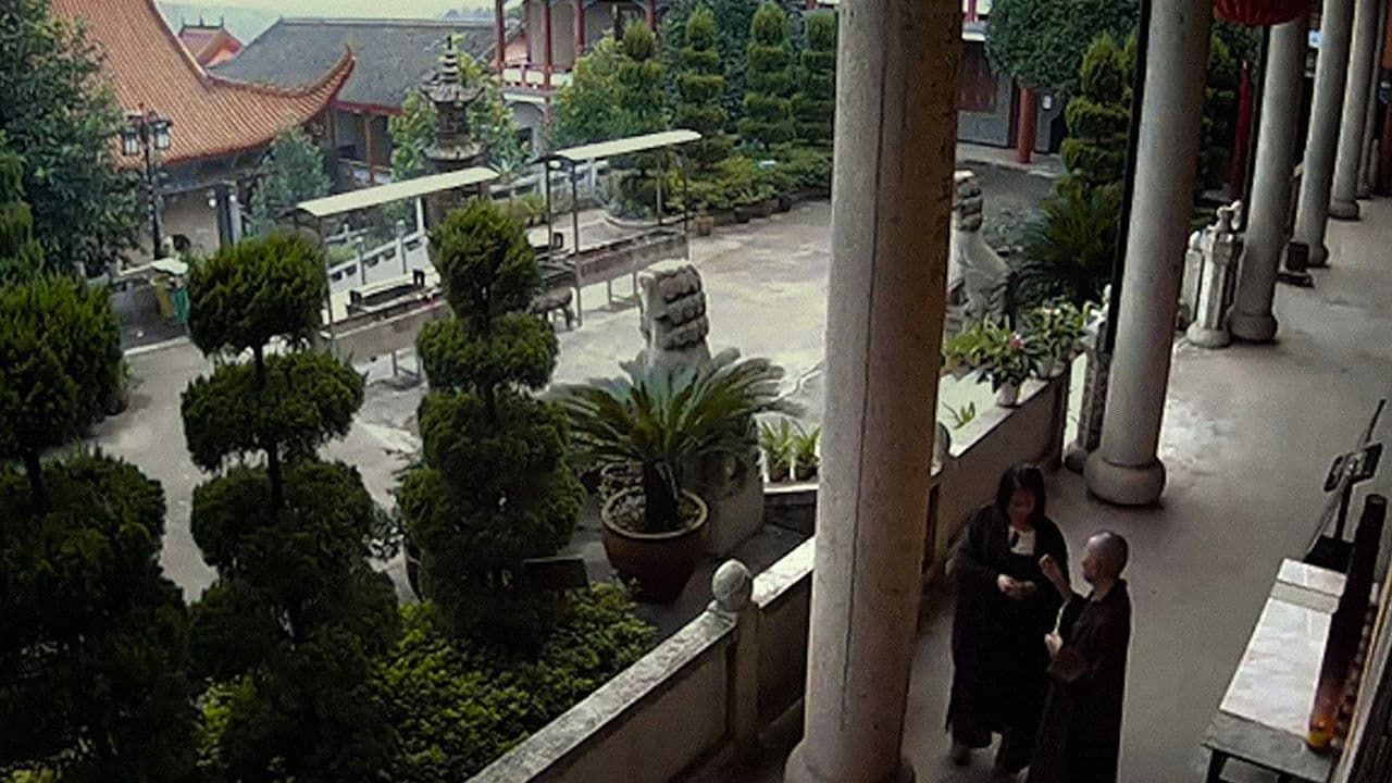 Backdrop – 蜻蜓之眼