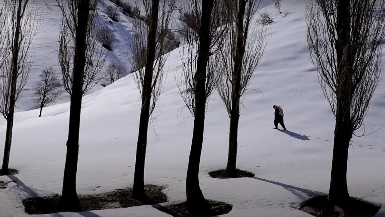 Backdrop – دارتاش