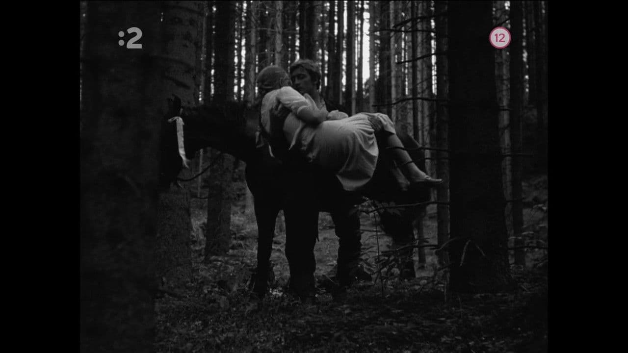 Backdrop – Tri gaštanové kone