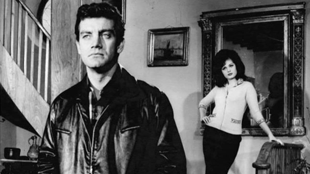 Backdrop – Kader Kapıyı Çaldı