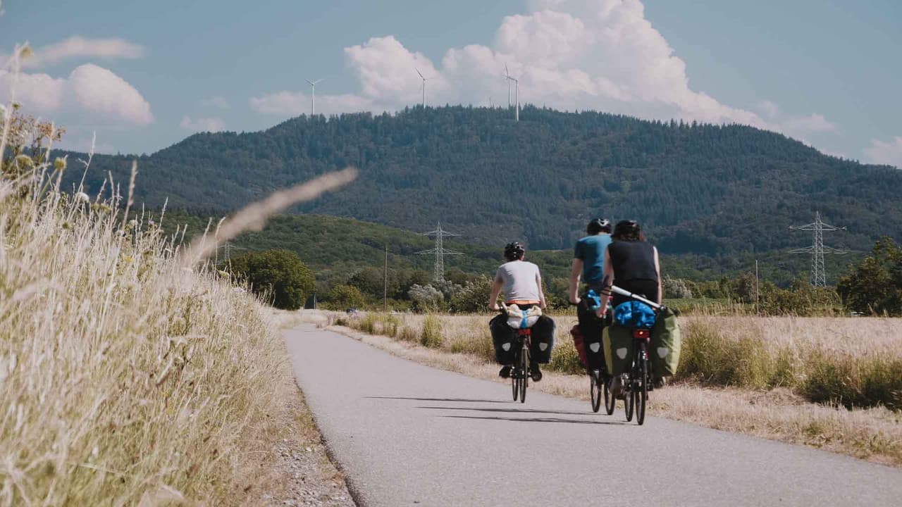 Backdrop – BE WILD - DIE NORMALITÄT IST RADIKAL