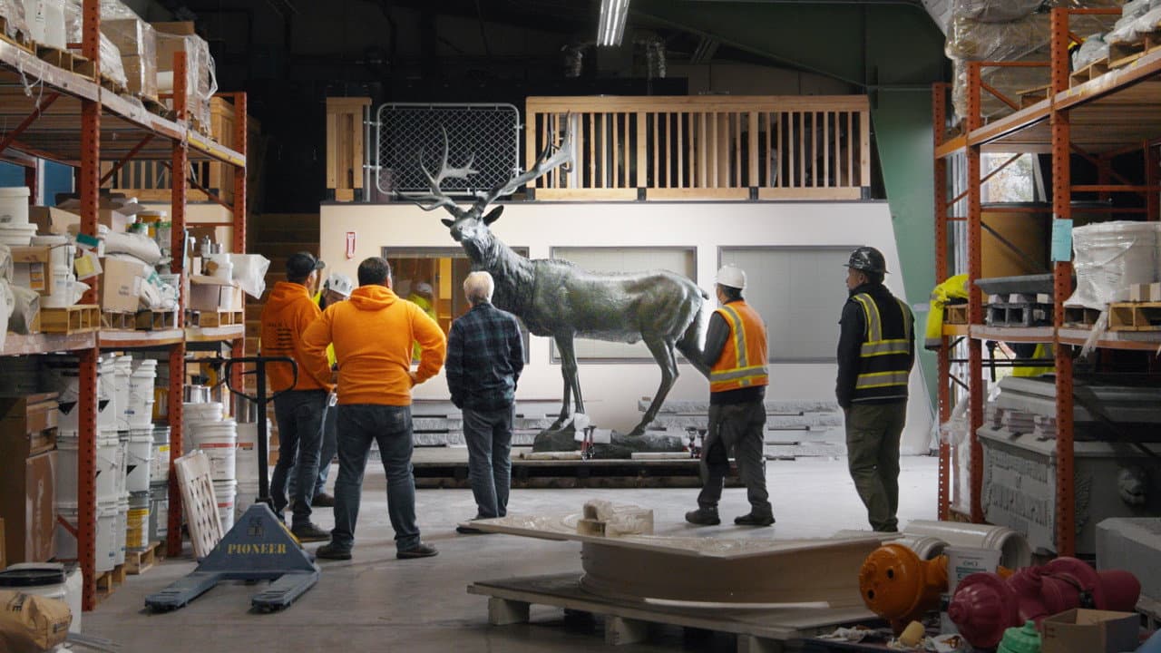 Backdrop – The Elk