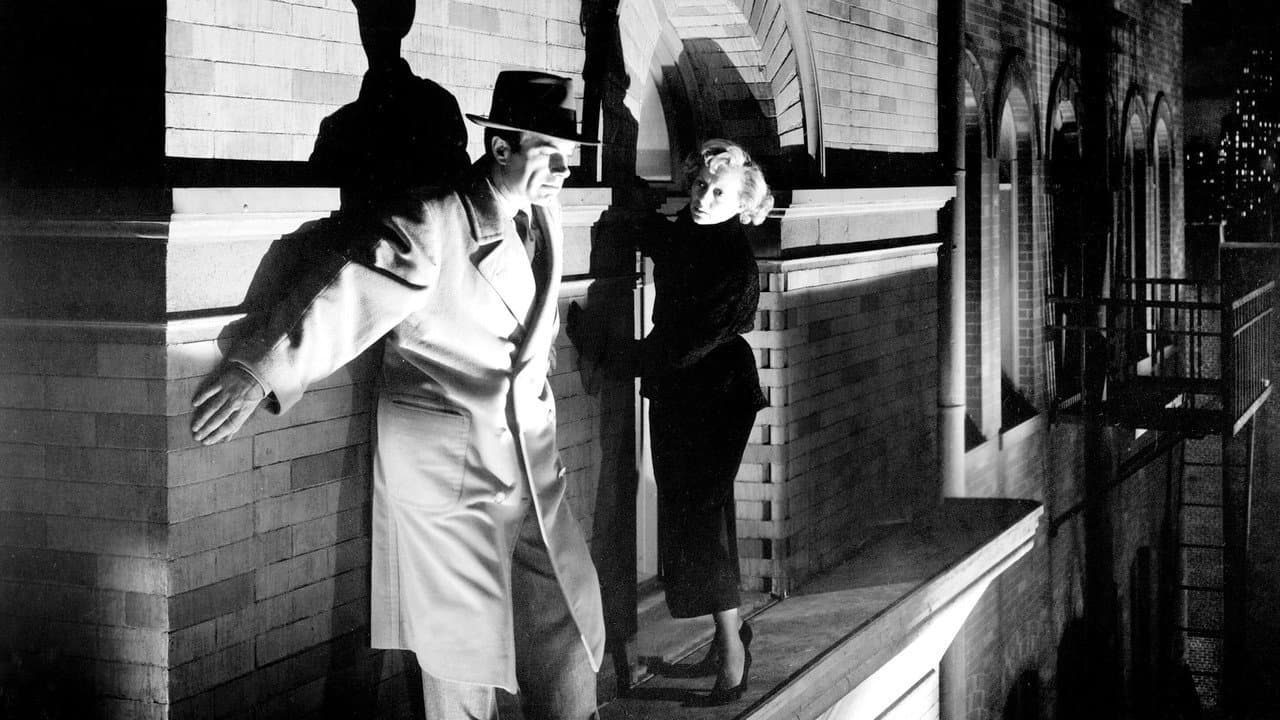 Backdrop – The Killer That Stalked New York