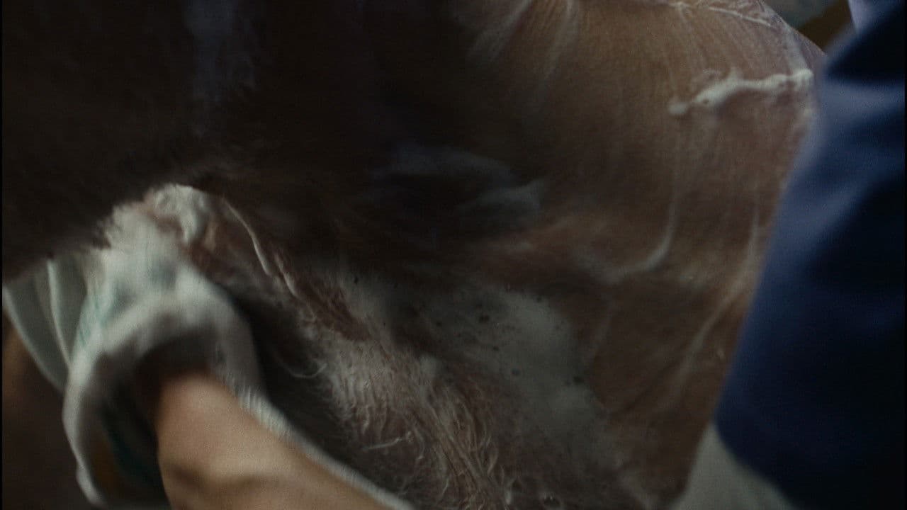 Backdrop – Würdenbewahrerin