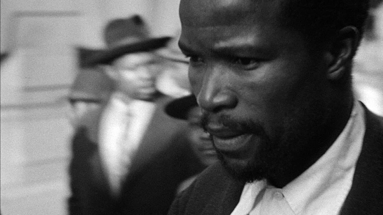 Backdrop – Come Back, Africa