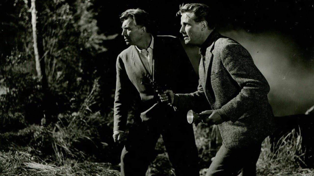 Backdrop – Der Schatz vom Toplitzsee