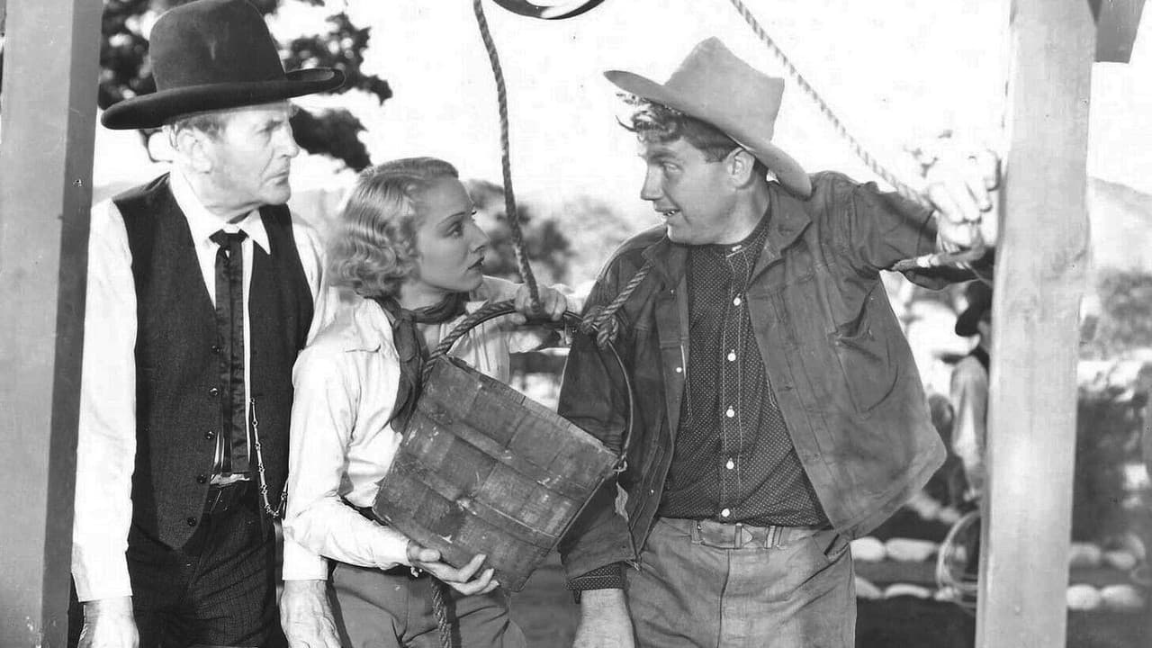 Backdrop – Horse Play