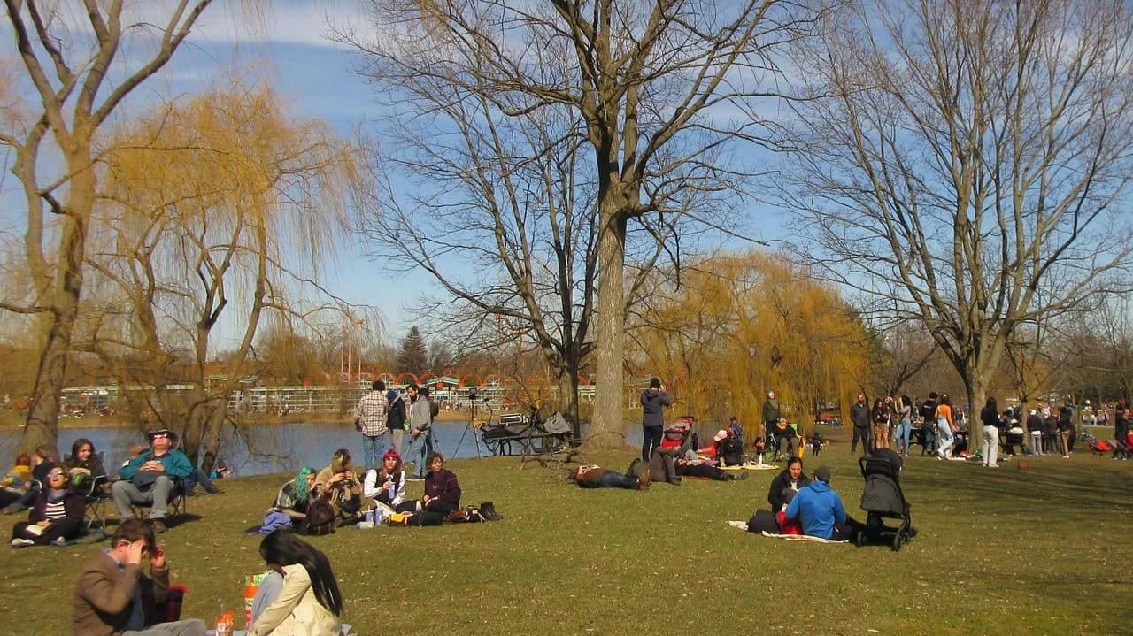 Backdrop – Eclipse - the movie