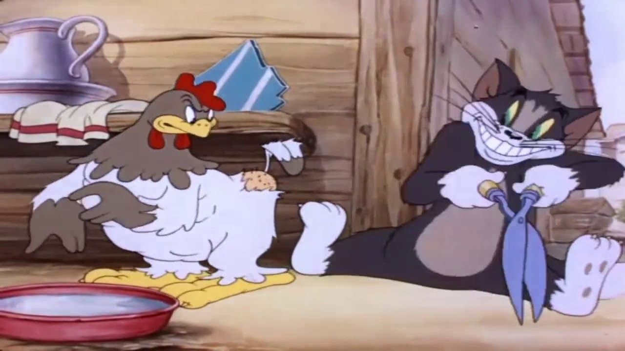 Backdrop – Tom und das dumme Huhn