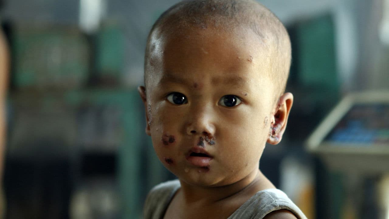 Backdrop – 塑料王国