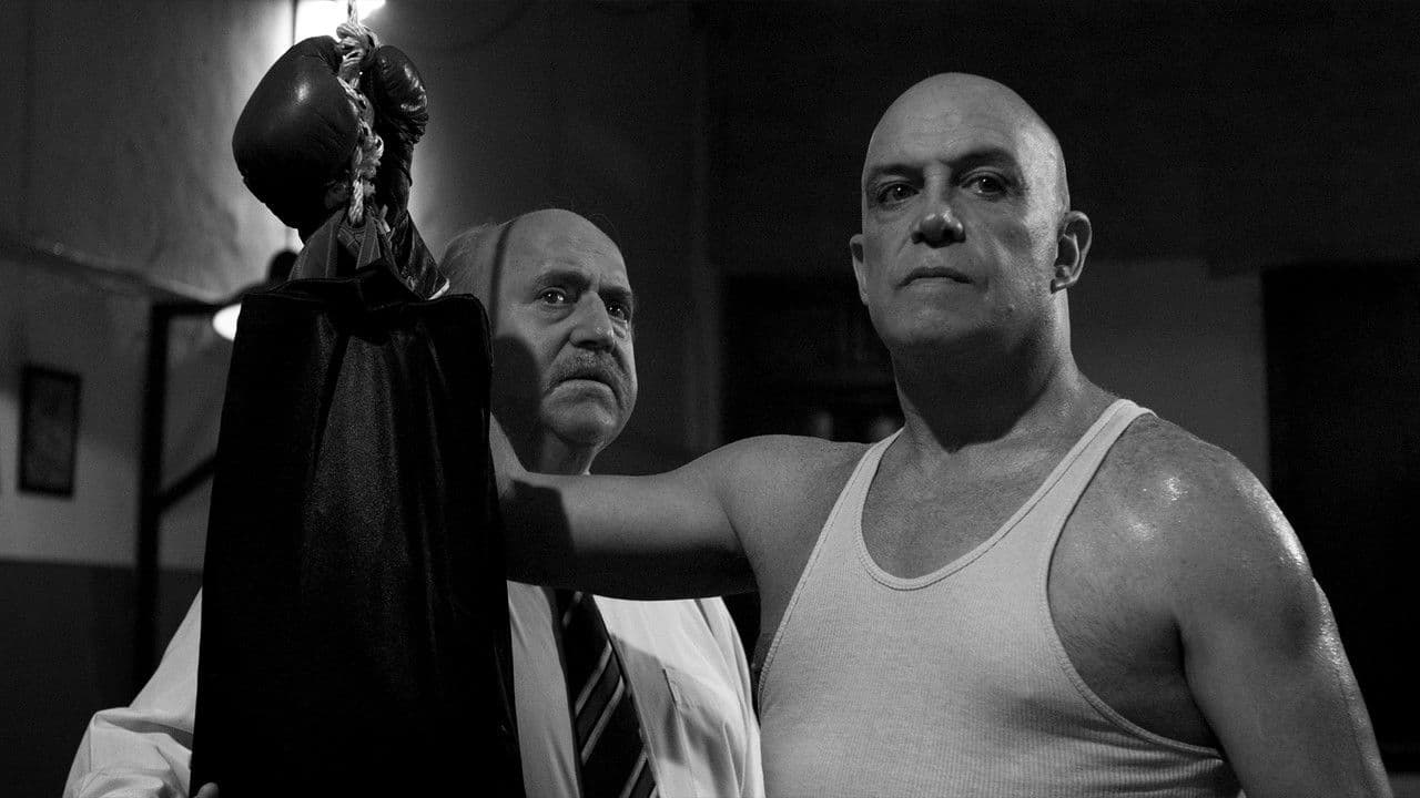 Backdrop – El Púgil