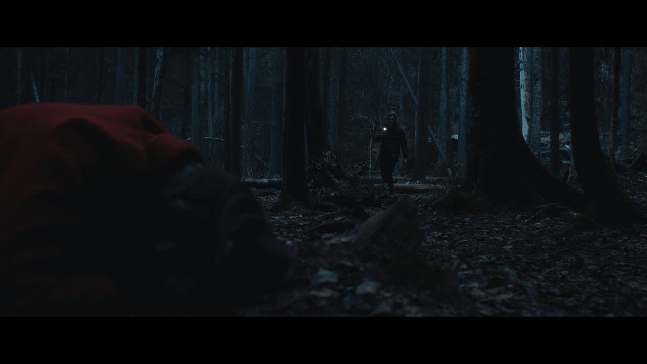 Backdrop – Hollow