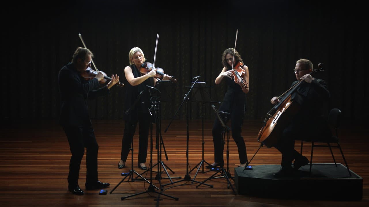 Backdrop – Anatomy of a String Quartet