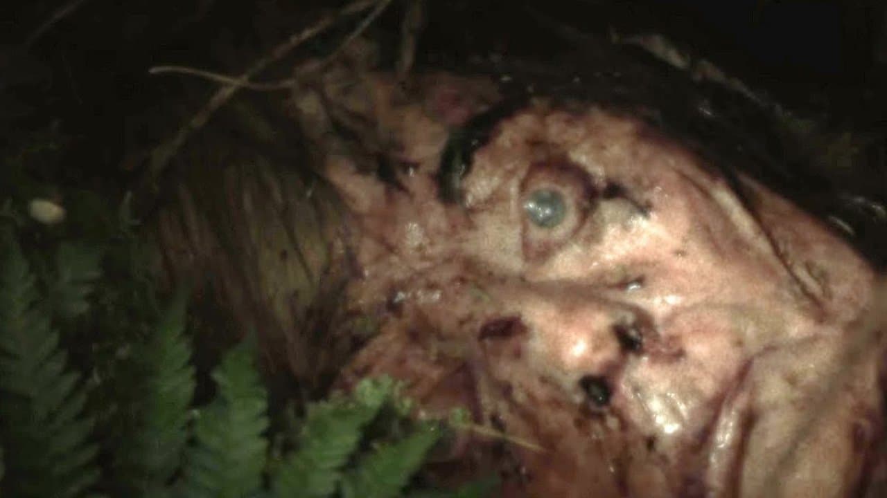 Backdrop – Cold Ground