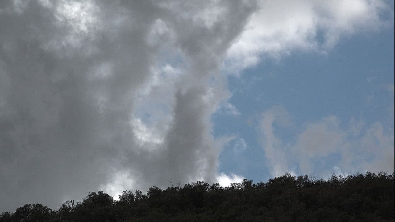 Backdrop – El Secret del Bosc