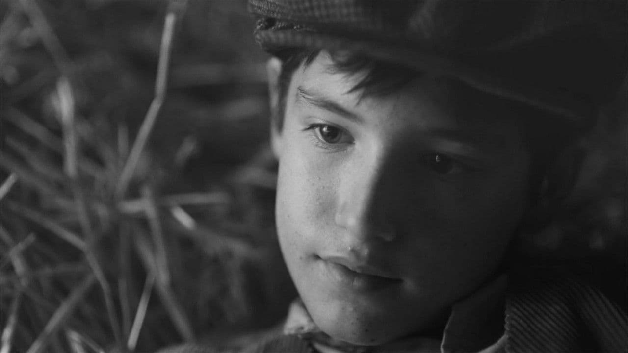 Backdrop – Cientouno