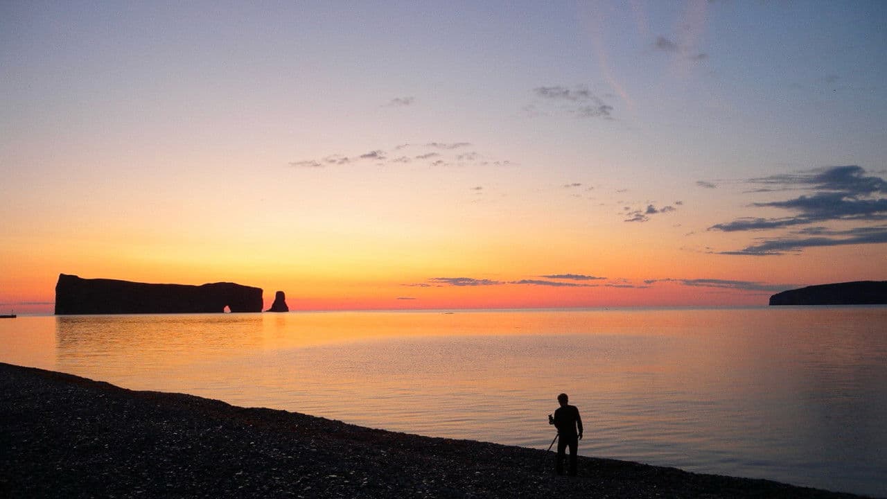 Backdrop – Territoires, alliances et autres métissages