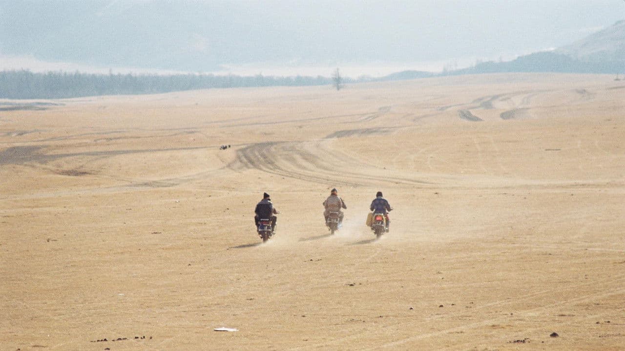 Backdrop – Blanc Ninja