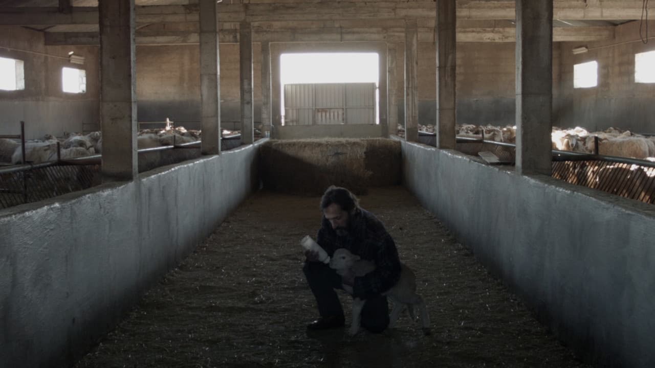 Backdrop – O Guardador