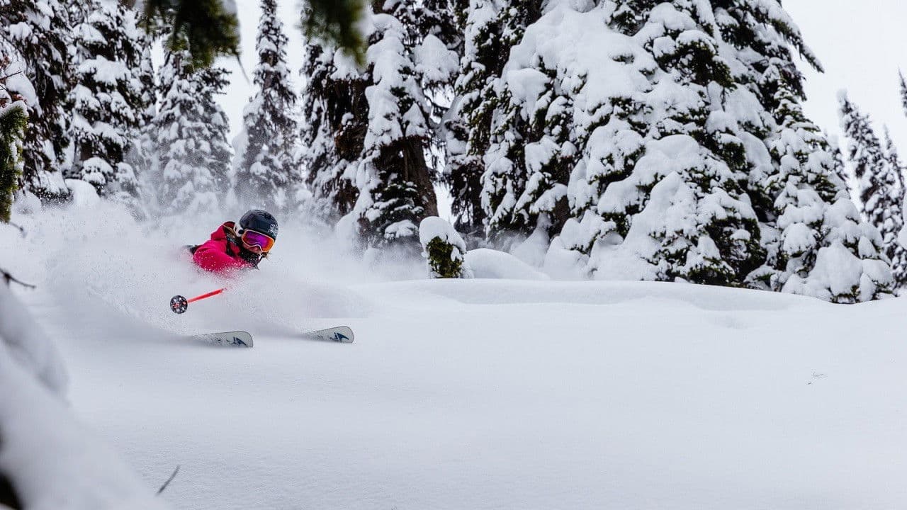 Backdrop – Rogue Elements