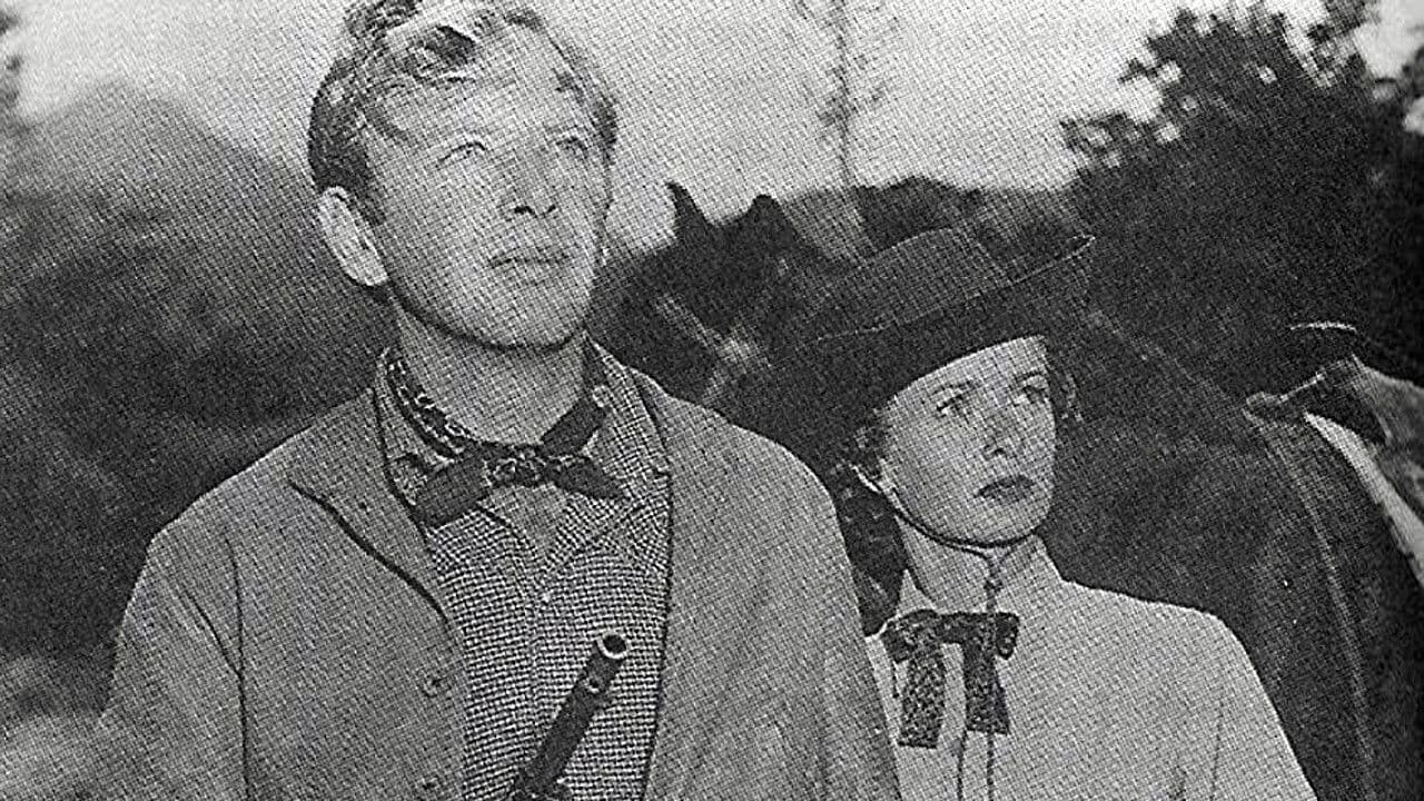 Backdrop – Montana Incident