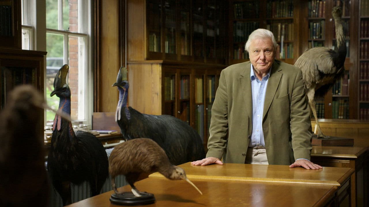 Backdrop – Attenborough's Big Birds